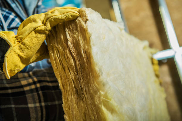 Best Commercial Insulation in North Riverside, IL